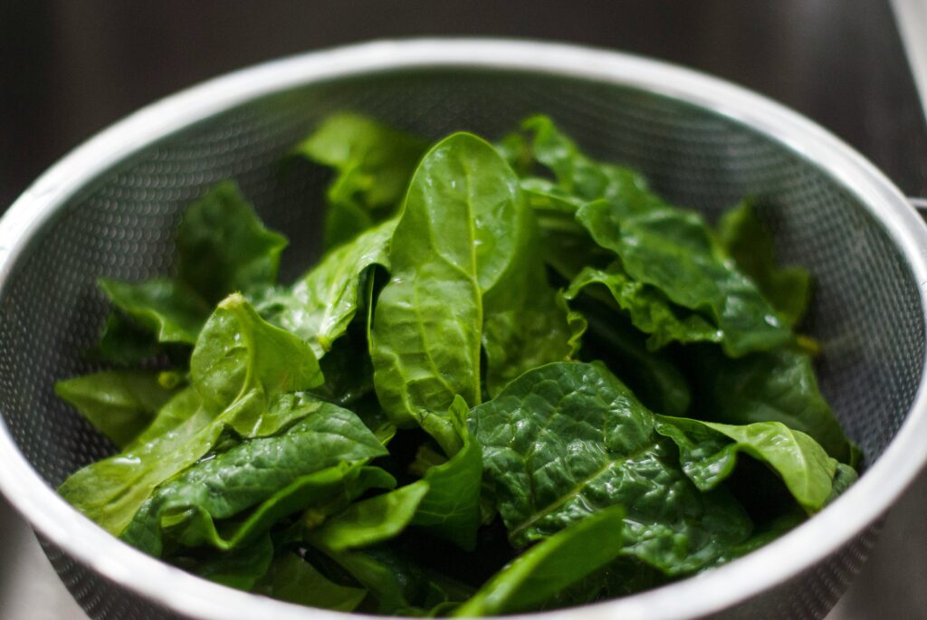 how to grow spinach in containers