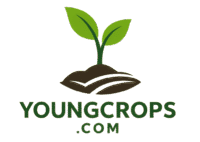 Youngcrops.com Logo